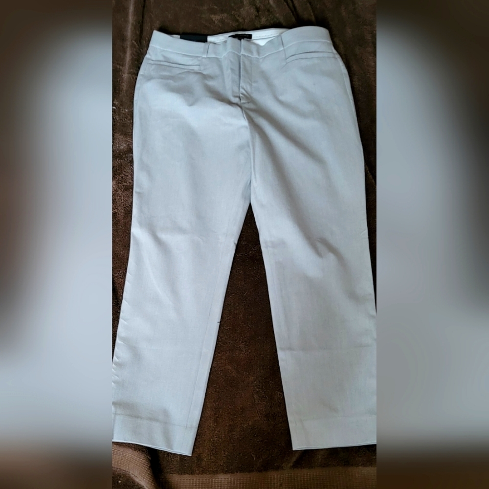 NWT Banana Republic Sloan Pants